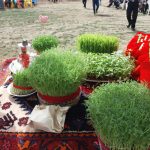 جلوه های زیبا از شکوه جشنواره نوروزی ۹۸ روستای قرمزین