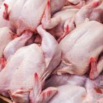 ۱۵۰ تن مرغ در ایام نوروز در ساوه توزیع شد