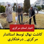 استاندار مرکزی در روز درختکاری یک اصله نهال غرس کرد