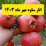 انار ساوه مهرماه ۱۴۰۳| خرید انار ساوه | خرید انار صادراتی ساوه