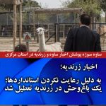 تعطیلی یک باغ وحش در زرندیه